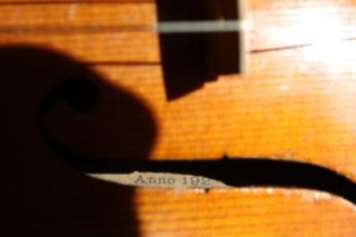 Vintage Violin Labeled Gennaro De Luccia 1925