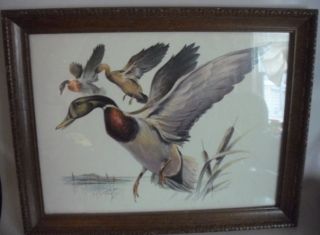 Harnett framed ducks in flight scene signed print picture 18 x
