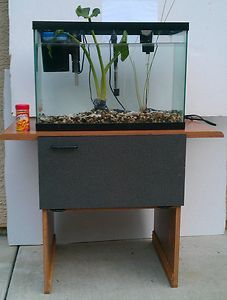 Complete Fish Tank 20 Gal with Stand One Big Goldfish