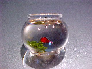 Dollhouse Phil Grenyer Handcrafted Glass Goldfish Bowl