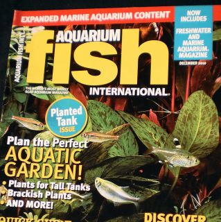  Fish IntL Magazine December 2010 Planted Tank Issue Goldfish