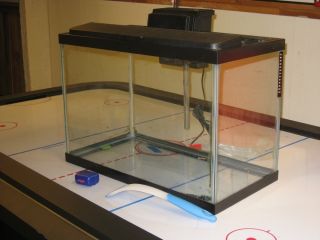20 Gallon Glass Fish Tank with Pump and Accessories