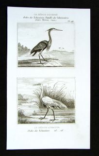 1835 Buffon Bird Print Heron Egret & Purple Heron