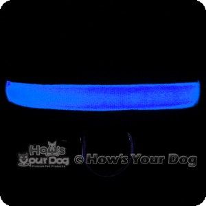 Elluminated Lighted Glowing Safety Dog Collar Blue M