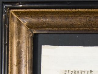 Gesner 1560 Framed Folio Woodcut Buffalo Bull 13