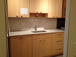  Kitchen Cabinets Sink Quartz Counter H w Green Eco Friendly New