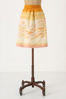 Goldfish Bowl Skirt