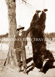  DEAD BEAR KILLED BY COWBOY HUNTER NEAR GREER ARIZONA AZ HUNTING PHOTO