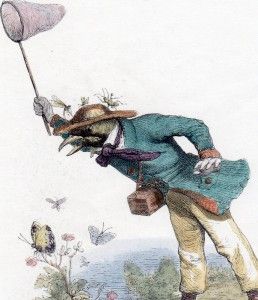 1842 GRANDVILLE   THE BUTTERFLY COLLECTOR LEPIDOPTERIST Hand Colored