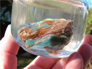 207ct Virgin Valley Opal Petrified Wood Nevada Precious Opal