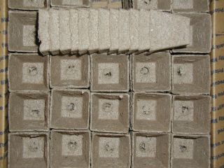  Square Jiffy Peat Pots for Seed Starting Greenhouse Supplies