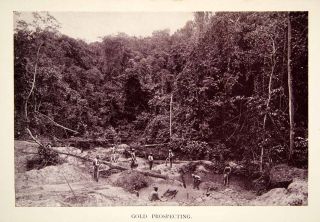 1907 Print Gold Prospecting Panning Deposits Rainforest British Guiana