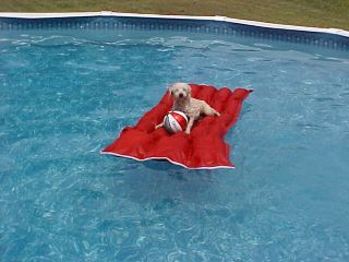 New Red Pet Raft Canvas Recyclers Raft Float 4 Kids Dogs Adults Pets