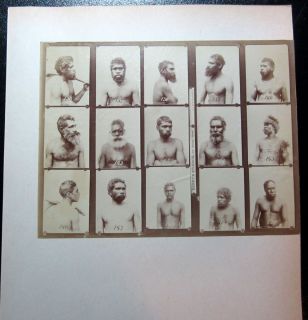 1890s Albumen Photo 15 Aboriginal Profile Shots by Kerry