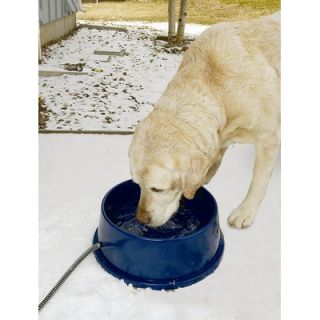 Manufacturing Thermal Bowl Heated Dog Bowl   2020/2010