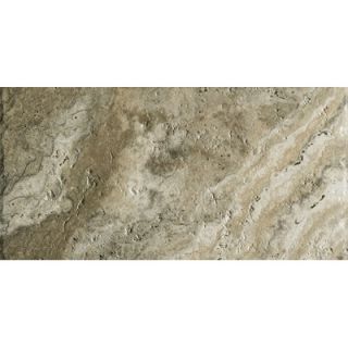 Marazzi Archaeology 12 x 24 ColorBody Porcelain in Crystal River