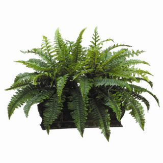 Tori Home 17 Boston Fern with Long Metal Container   WP7745 GR
