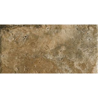 Marazzi Archaeology 12 x 24 ColorBody Porcelain in Chaco Canyon