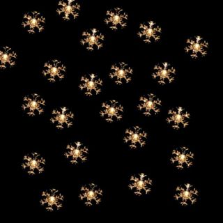 Indoor/Outdoor 35 Light Double Layer Snowflake Reflector Christmas