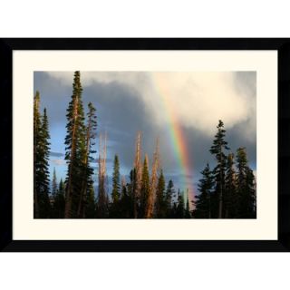  Alpine Rainbow by Andy Magee Framed Fine Art Print   28.62 x 38.62