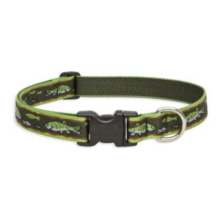 Lupine Brook Trout 1 Adjustable Large Dog Collar   WLF51852/53/54