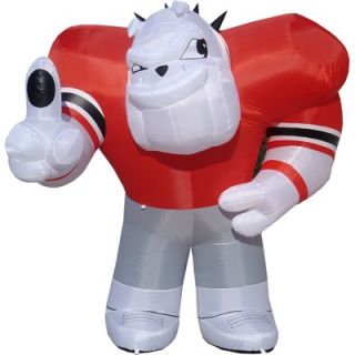 Inflatable Images NCAA 67 H Inflatable Mascot