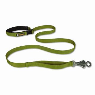 Flat Out™ Dog Leash in Solid Colors