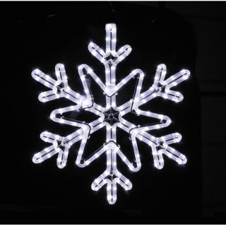 Holiday Lighting Specialists Star Snowflake Rope Light  