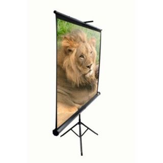  / Portable Pull Up Projector Screen   136 Diagonal in Black Case