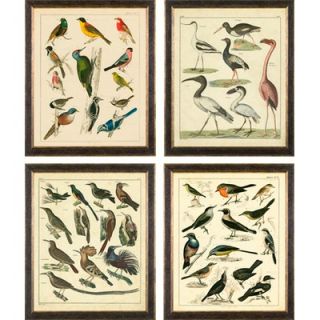 Phoenix Galleries Aviary on Canvas Framed Prints   Aviary on Canvas