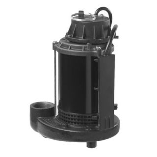 Wayne Water Systems 1/3 HP Switch Genius Switch Technology Sump Pump