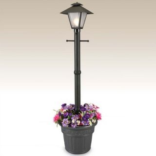 Patio Living Concepts Cape Cod Plug In Outdoor Post Lantern with