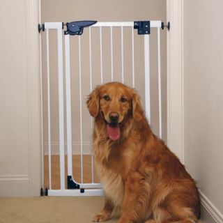 Dog Gates Dog Gates Online