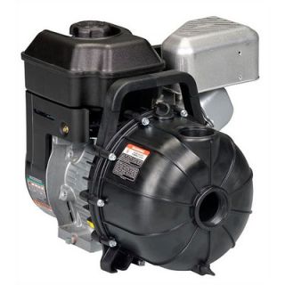 Pacer Pumps 2, 200 GPM EconoAg Water Pump with 5.5 HP Briggs