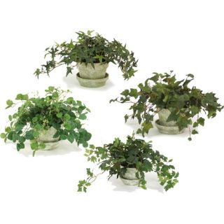 Silk Ivy and Vine Arrangements in Clay Pot (Set of 4)