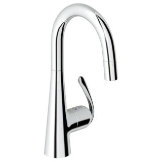 Ladylux Pro Single Handle Single Hole Kitchen Faucet with Watercare