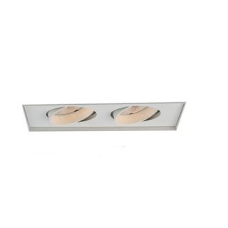  Two Light Recessed Trimless Multi Spot for MT 238 in White