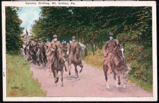 Mount Gretna PA US Cavalry Drilling Vintage Military Horse Postcard