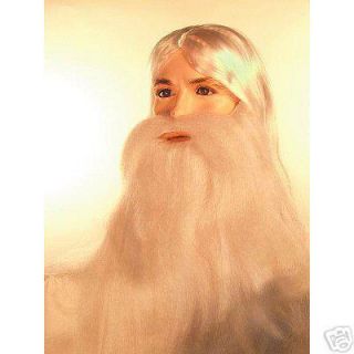 Long Wizard Beard Wig Set Costume Gray or White