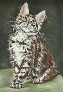 Original Pastel * Maine Coon Kitten Portrait * Maine Coon Kätzchen
