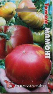 Russian Heirloom Tomato Seeds Mammoth 25 Seeds
