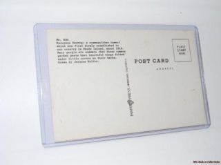  Postcard with Images of Two European Earwigs by Jacques Helfer