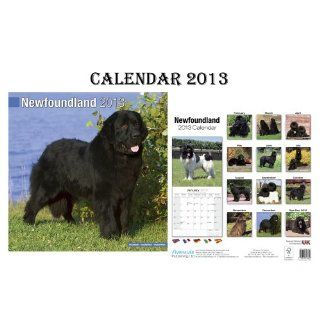 NEWFOUNDLAND DOGS CALENDAR 2013 + FREE NEWFOUNDLAND FRIDGE