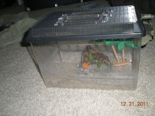Gallon Fish Tank with Lid and 2 Small Decorations