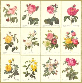Group of 12 Redoute Botanical Prints 12E Roses