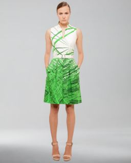 B21F9 Akris Reed Print Cotton Stretch Dress, Grass