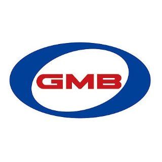 GMB 125 2102 OE Replacement Water Pump Automotive