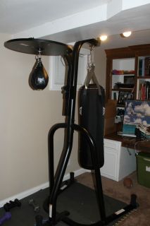 Speed Bag and Heavy Bag with Stand Everlast