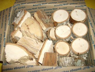 Pecan Wood Chunks Disk 10 for BBQ Smoking Grilling Organic Freshly Cut