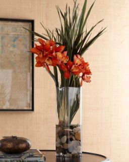 Red Orchid in Clear Vase   